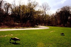 photo 0038
